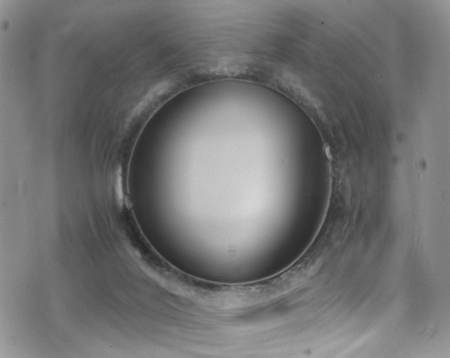 X0000071930020200607071234
