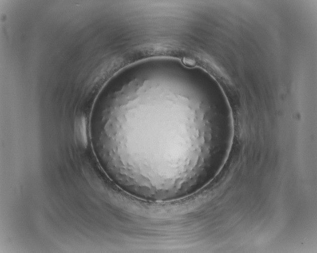 X0000071930022200607071234