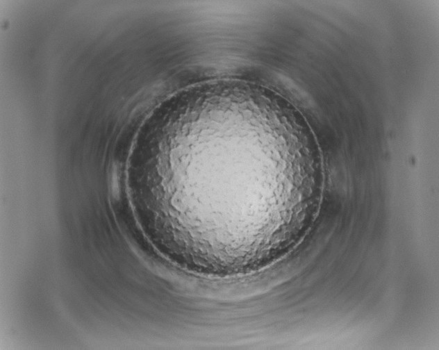 X0000071930026200607071234