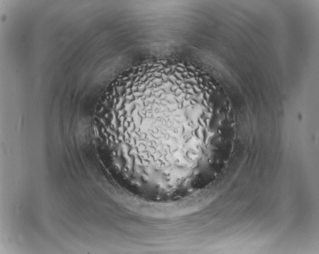X0000071930034200607071234