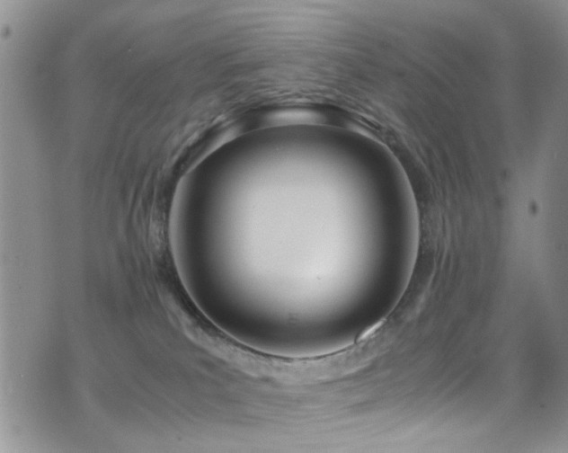 X0000071930039200607071234
