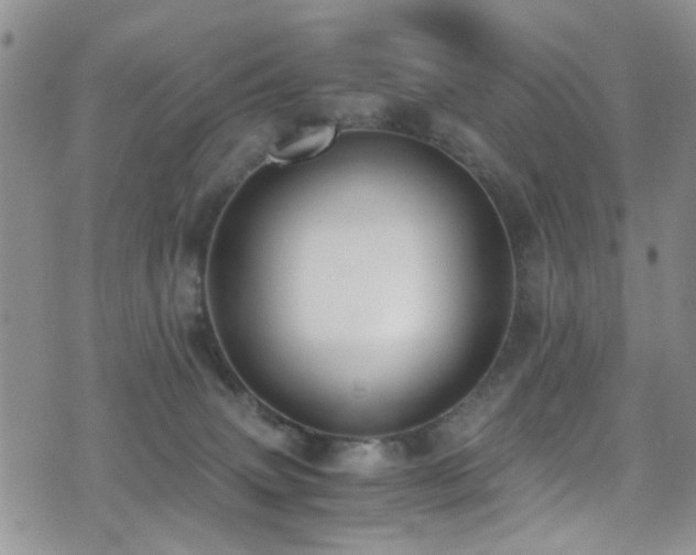 X0000071930083200607071233