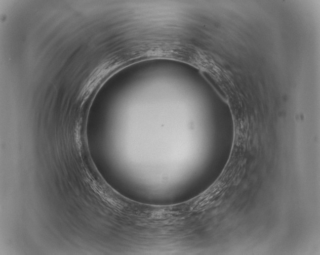 X0000071930098200607071233