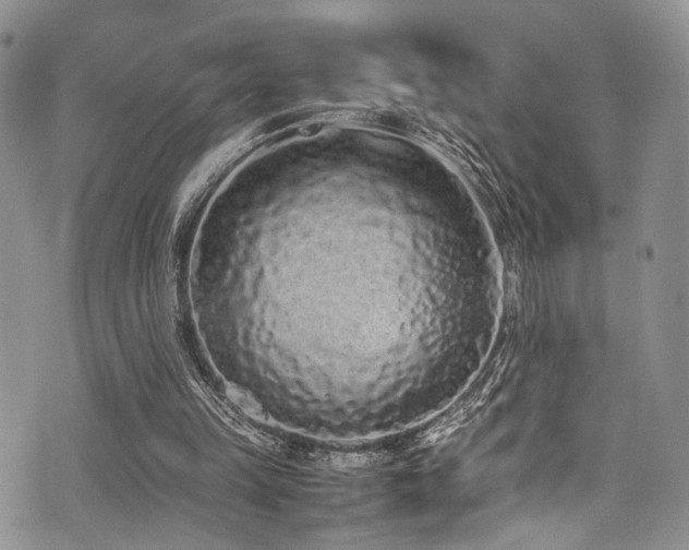 X0000071930149200607071231