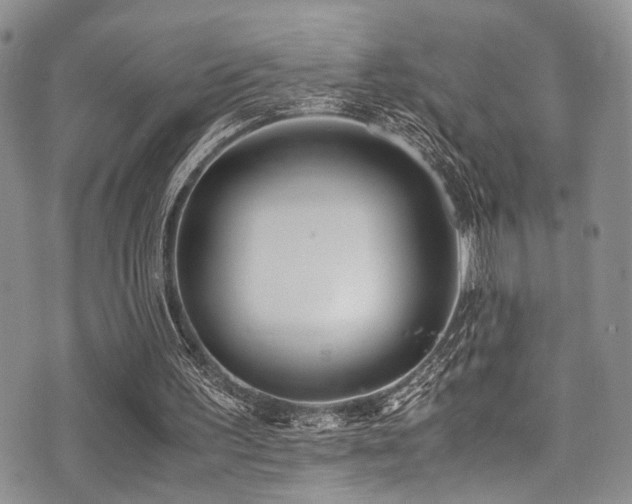 X0000071930195200607071231
