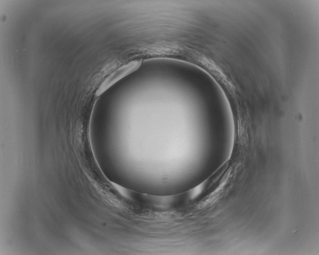 X0000071930201200607071231