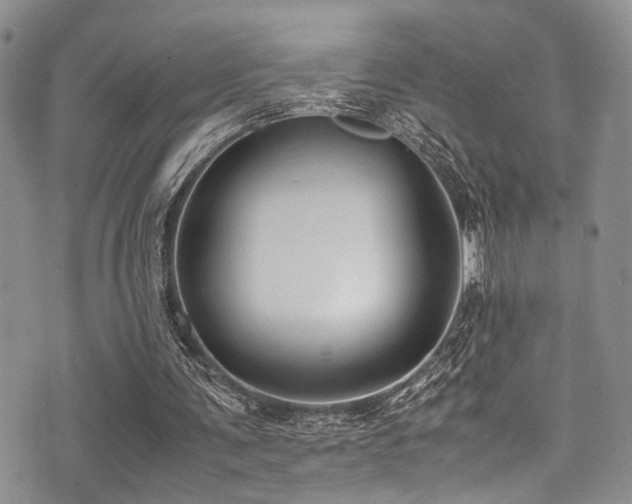 X0000071930291200607071229