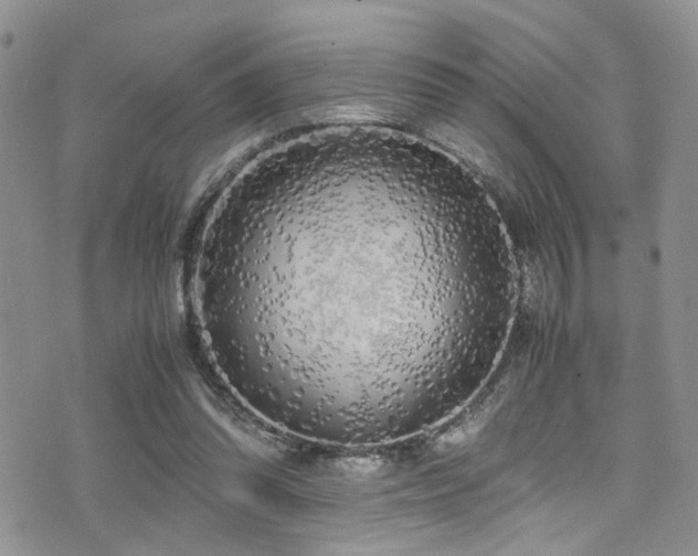 X0000071930302200607071229