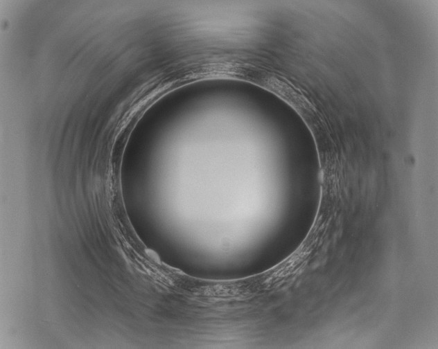X0000071930338200607071228