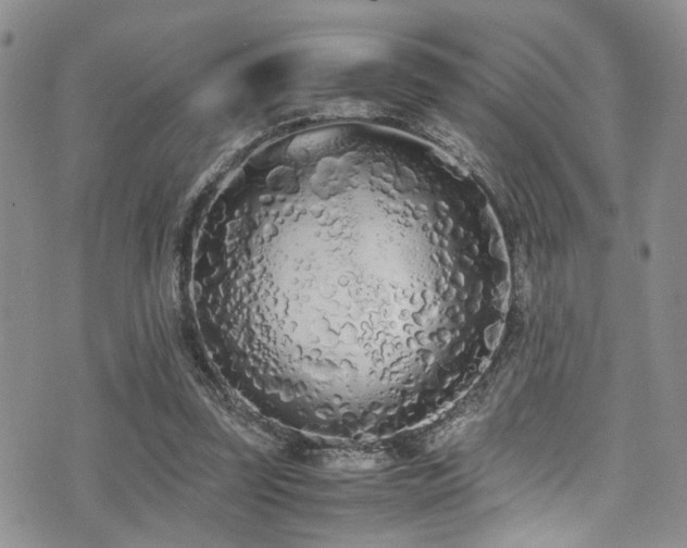 X0000071930347200607071228