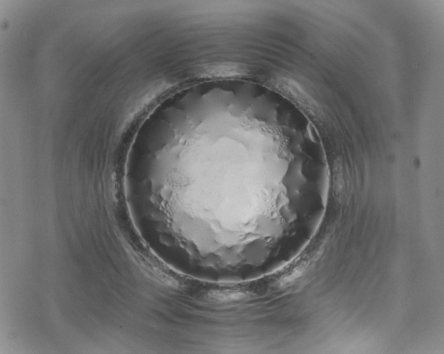 X0000071930351200607071228