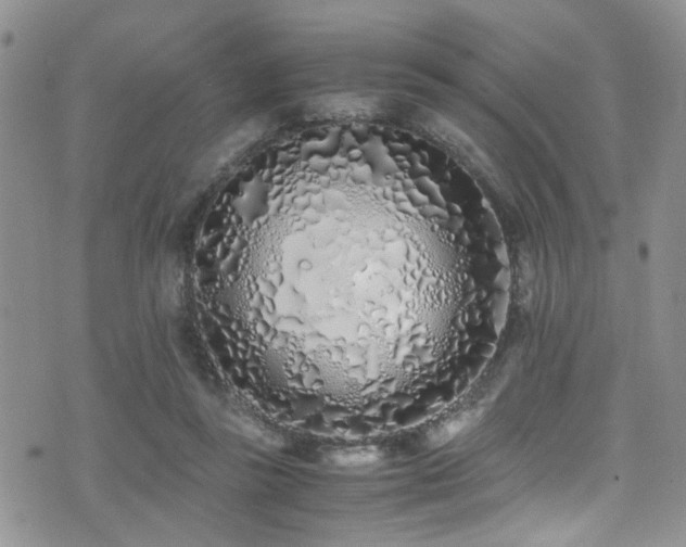 X0000071930355200607071228