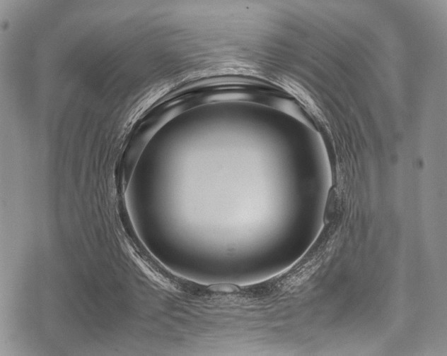 X0000071930389200607071228