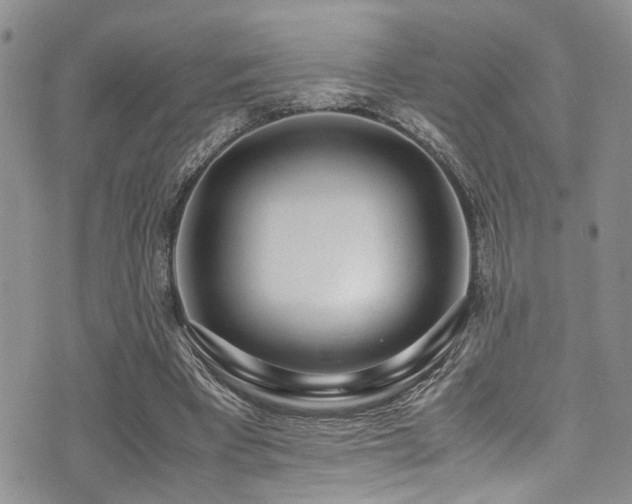 X0000071930393200607071228
