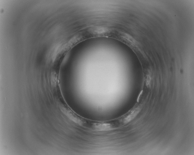 X0000071930476200607071227