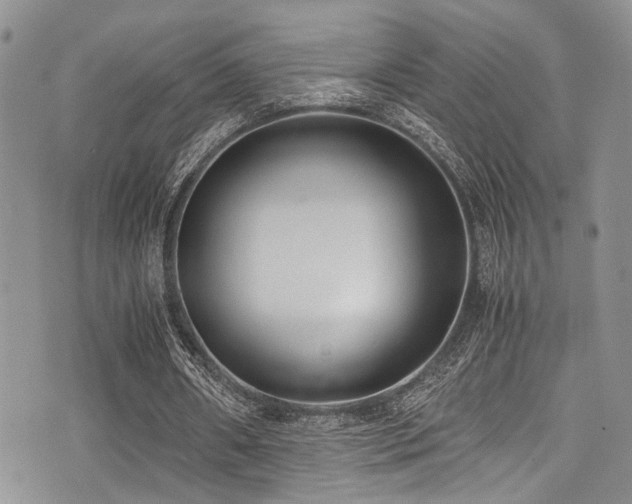 X0000071930482200607071226