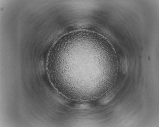 X0000071930506200607071226