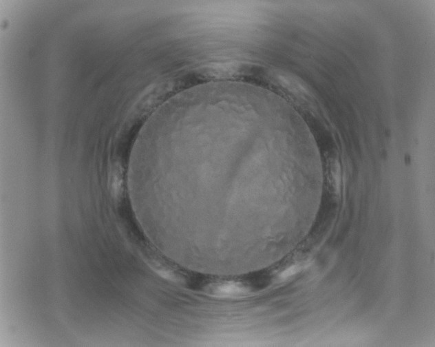 X0000071930507200607071226