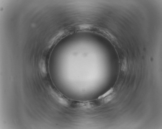 X0000071930524200607071226