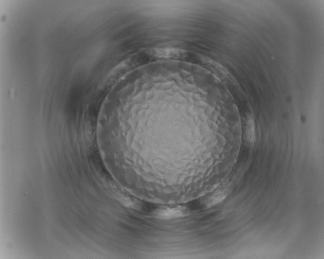 X0000071930569200607071225