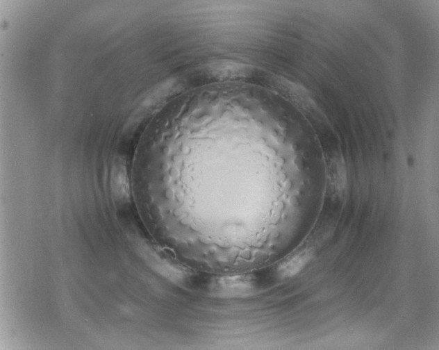 X0000071930622200607071224