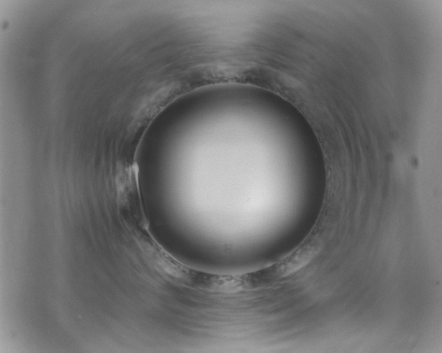 X0000071930624200607071224