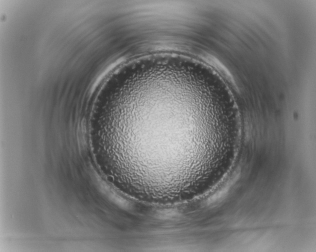 X0000071930798200607071221