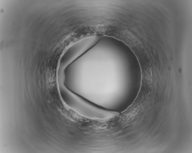 X0000071930818200607071220