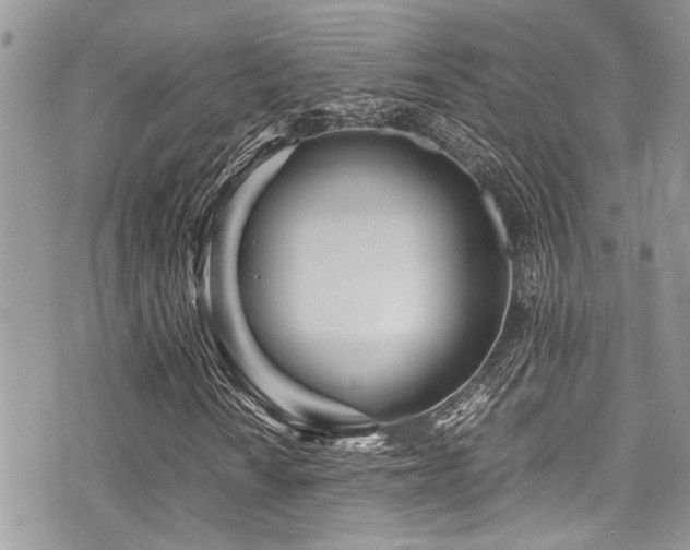 X0000071931010200607071217