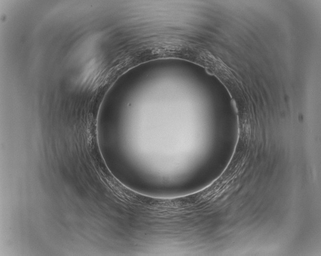 X0000071931012200607071217