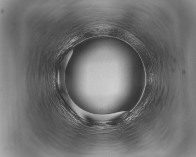 X0000071931108200607071215