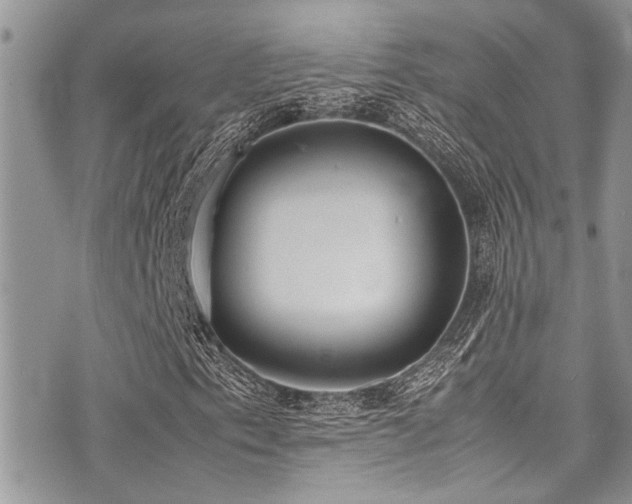 X0000071931153200607071215