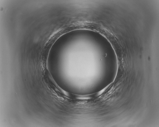 X0000071931206200607071214