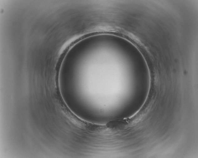 X0000071931222200607071214