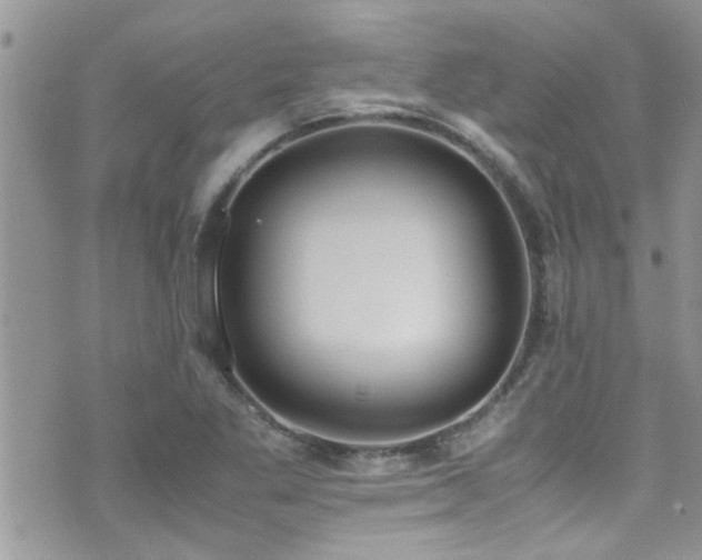 X0000071931269200607071213