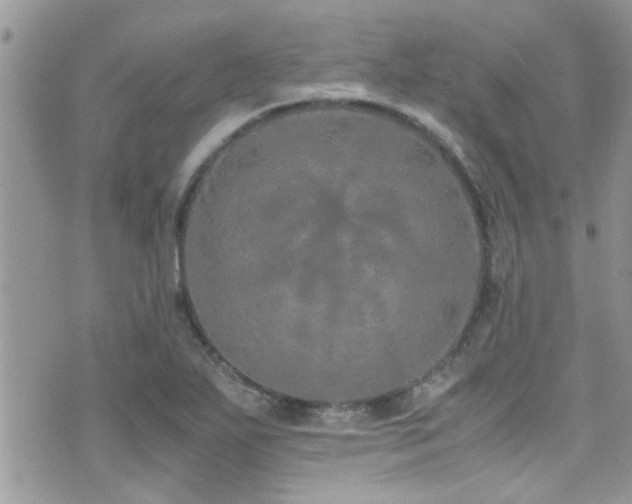 X0000071931271200607071213