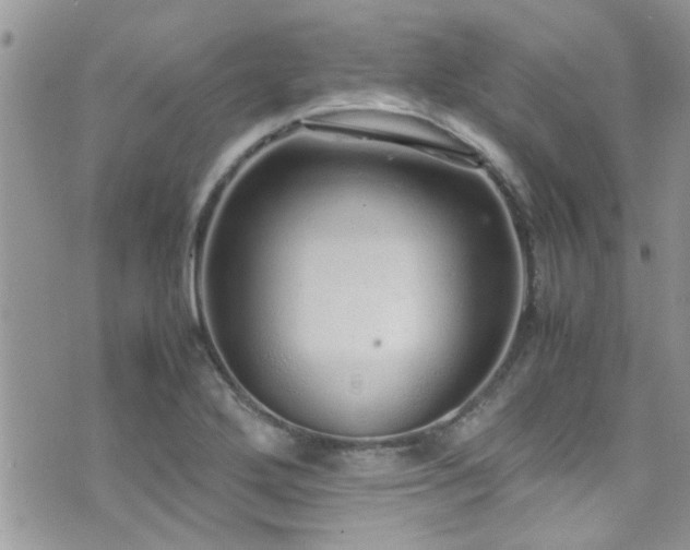 X0000071931272200607071213