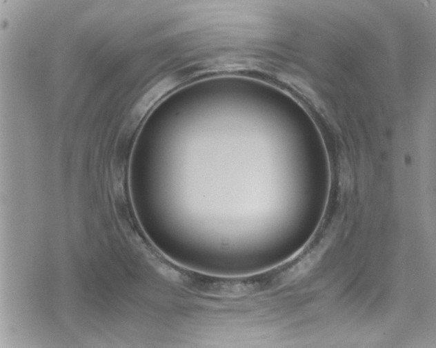 X0000071931273200607071213