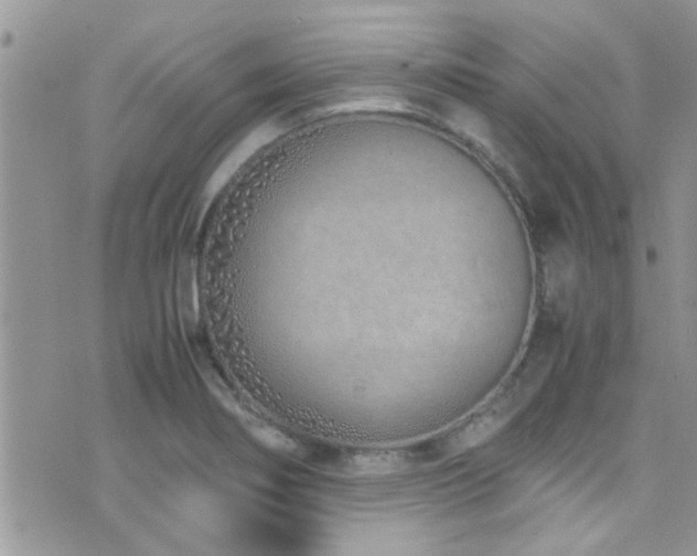 X0000071931274200607071213