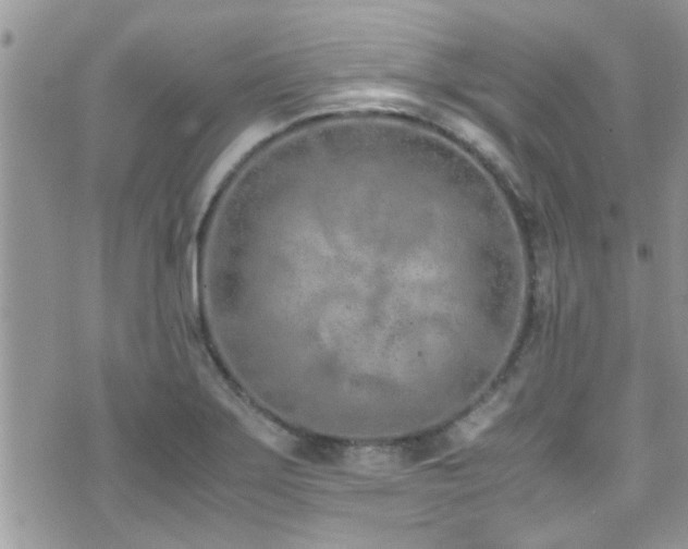 X0000071931275200607071213