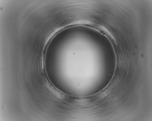 X0000071931276200607071213