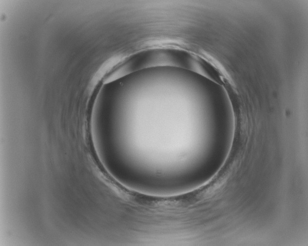 X0000071931277200607071213