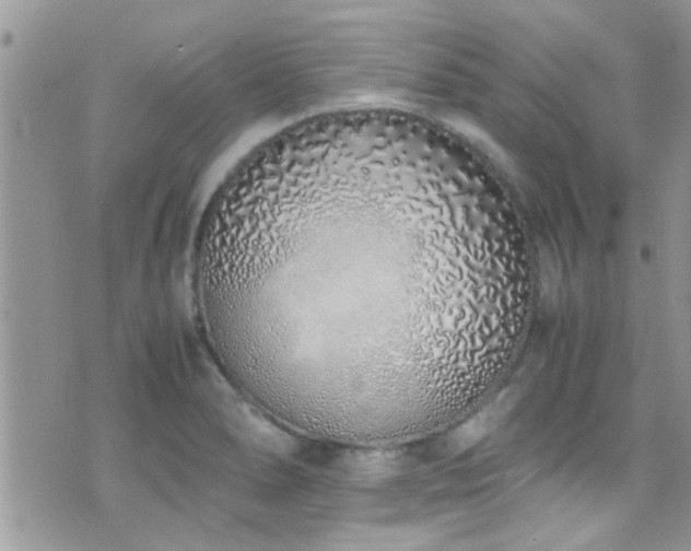 X0000071931278200607071213