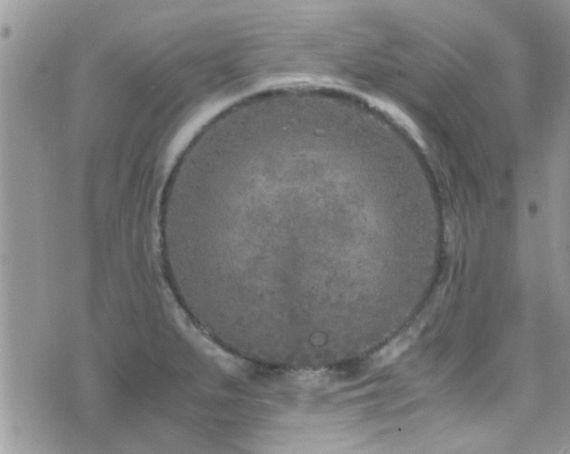 X0000071931279200607071213