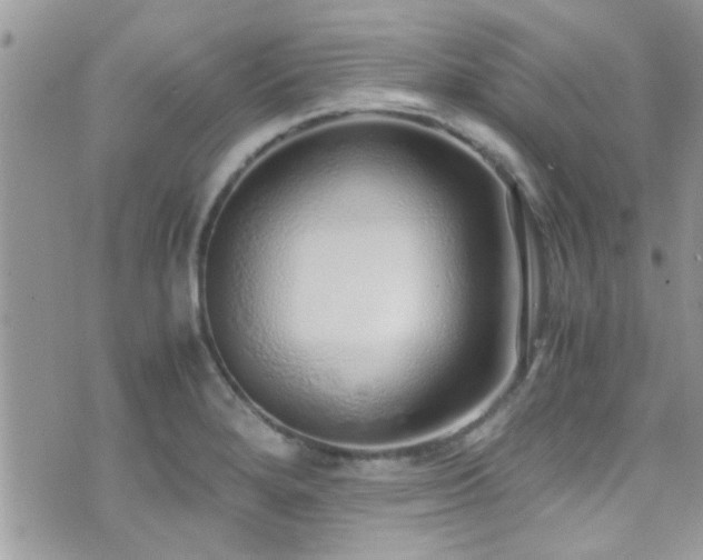 X0000071931280200607071213