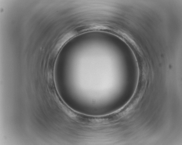 X0000071931281200607071213