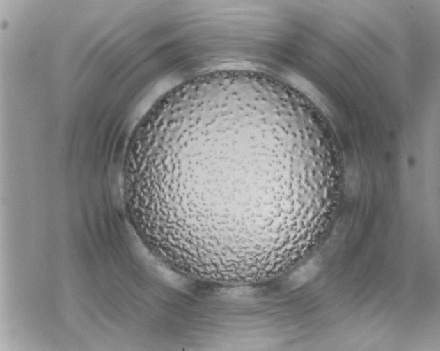 X0000071931282200607071213