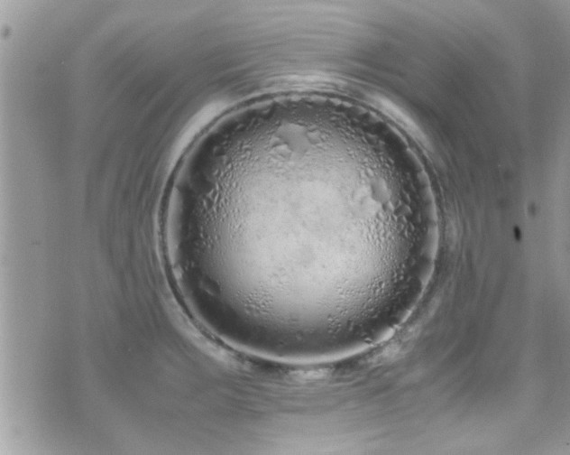 X0000071931283200607071213