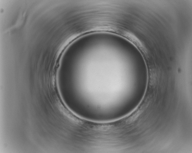 X0000071931284200607071213