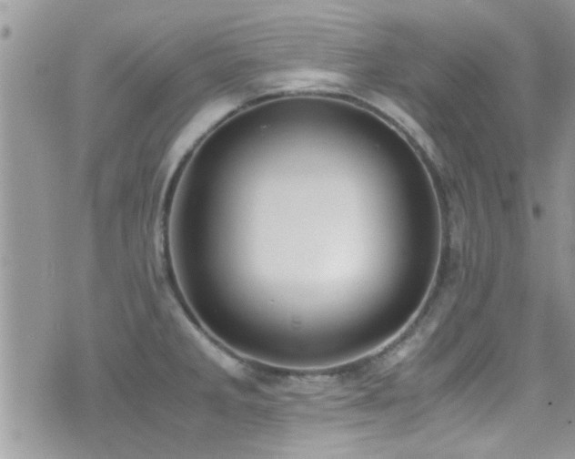 X0000071931285200607071213